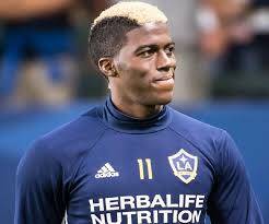 Gyasi Zardes Kimdir?