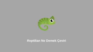 Reptilian Ne Demek Çeviri (Gerçek Bilgi)